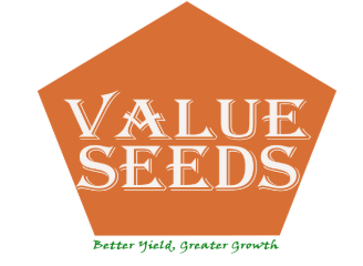 Value Seeds Limited Logo